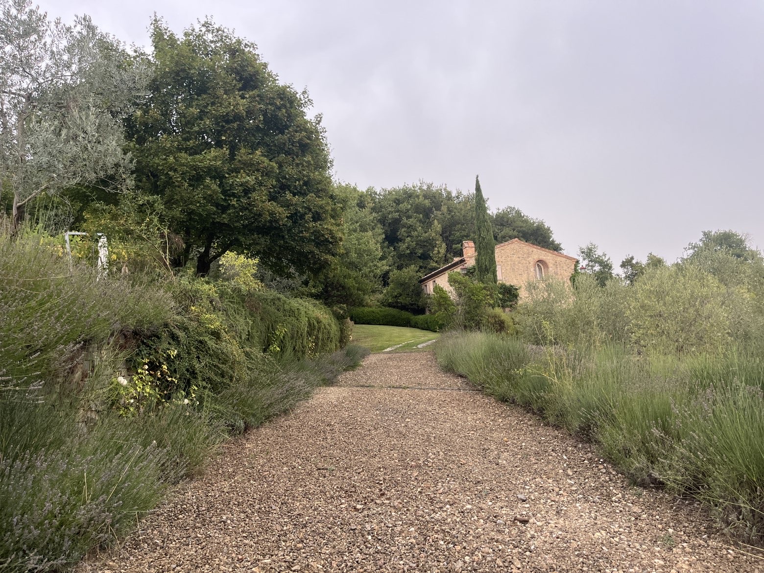 Giardino mediterraneo
