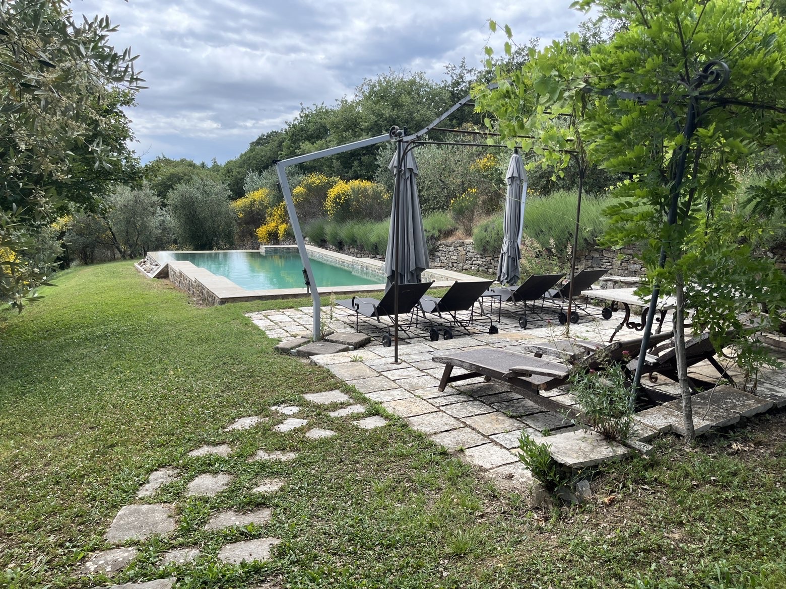 Team DreamGarden al lavoro in un giardino toscano